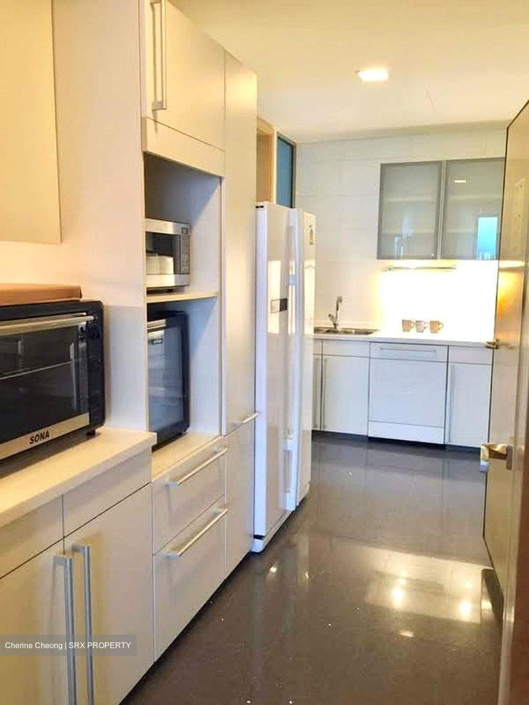 Cairnhill Crest (D9), Condominium #574920781
